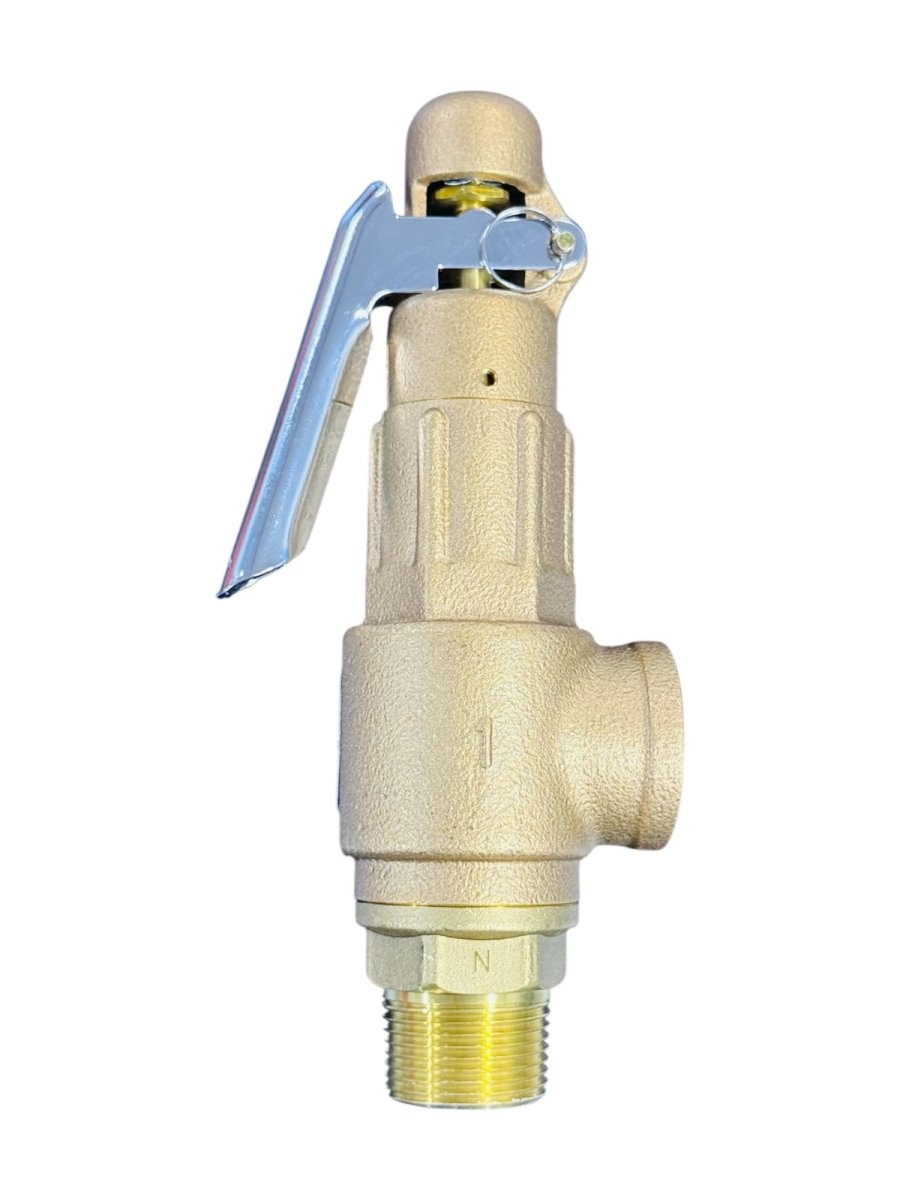 Safety Relief Valve 10 BAR - Unknown - Blastline Online