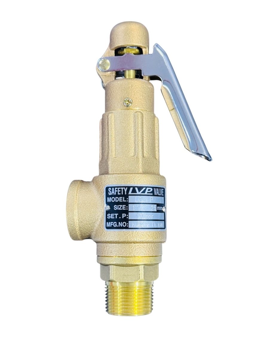 Safety Relief Valve 10 BAR - Unknown - Blastline Online
