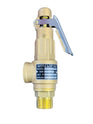 Safety Relief Valve 10 BAR - Unknown - Blastline Online